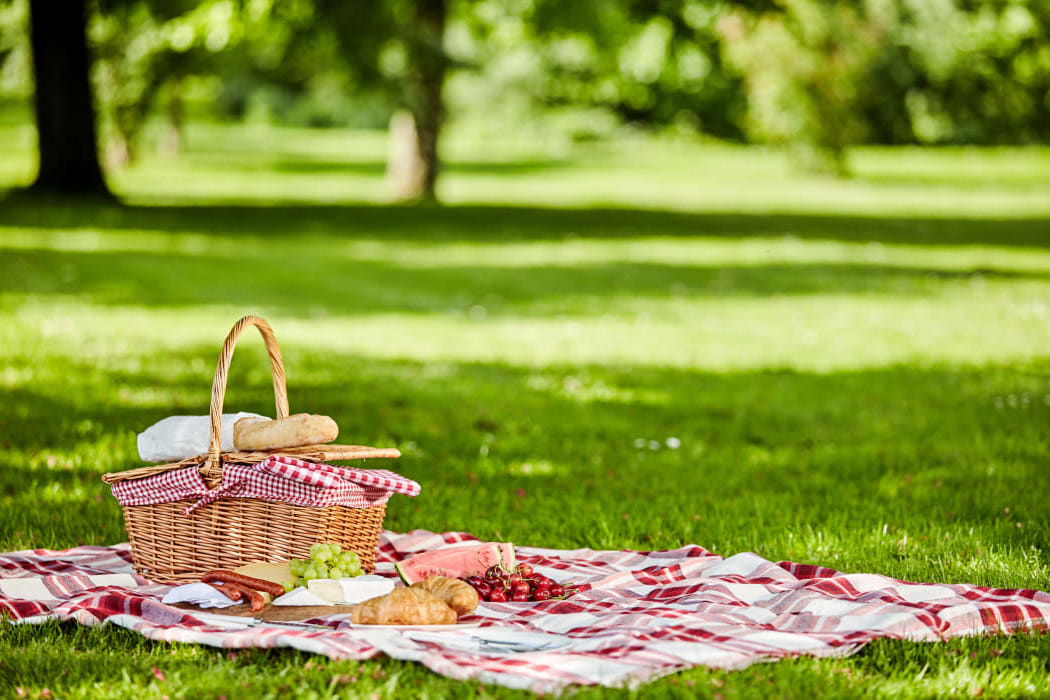 Budget-friendly School Holiday Activities for Kids